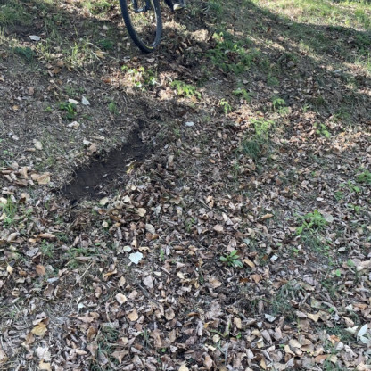 Ecole VTT Octobre 2026 - Sortie du 14 Oct 2026